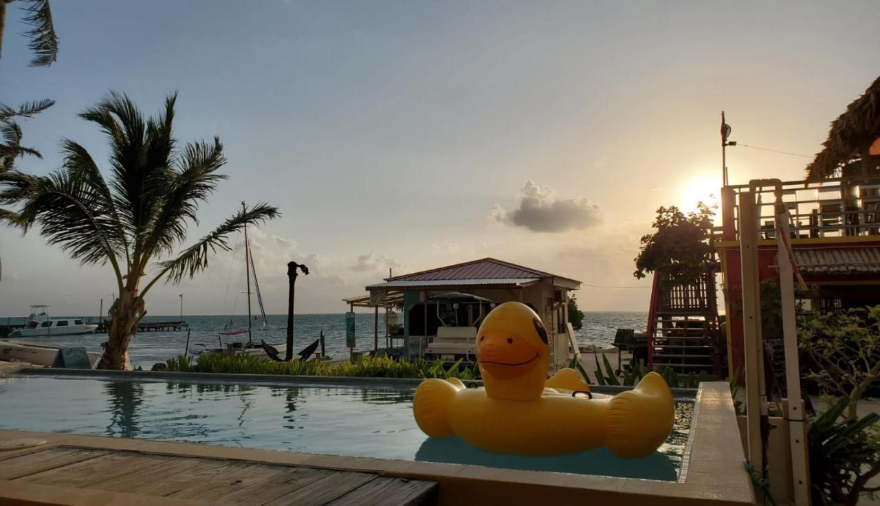 Beach Club Condos At Popeyes Cayo Caulker Exterior foto